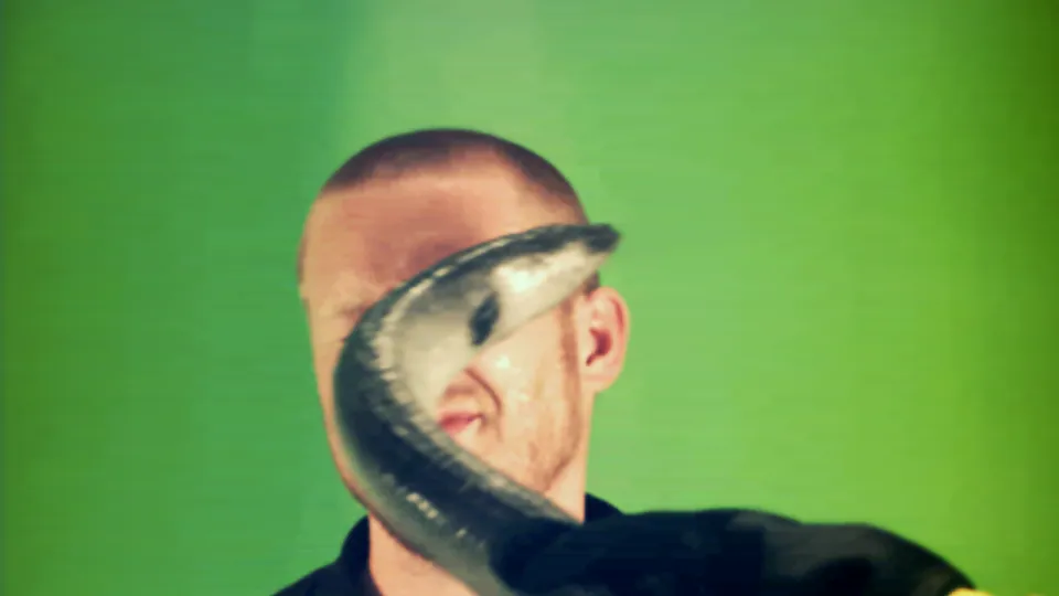 Eel Slap 미리보기 이미지