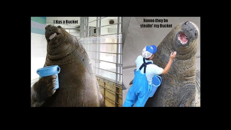 I Has a Bucket 미리보기 이미지