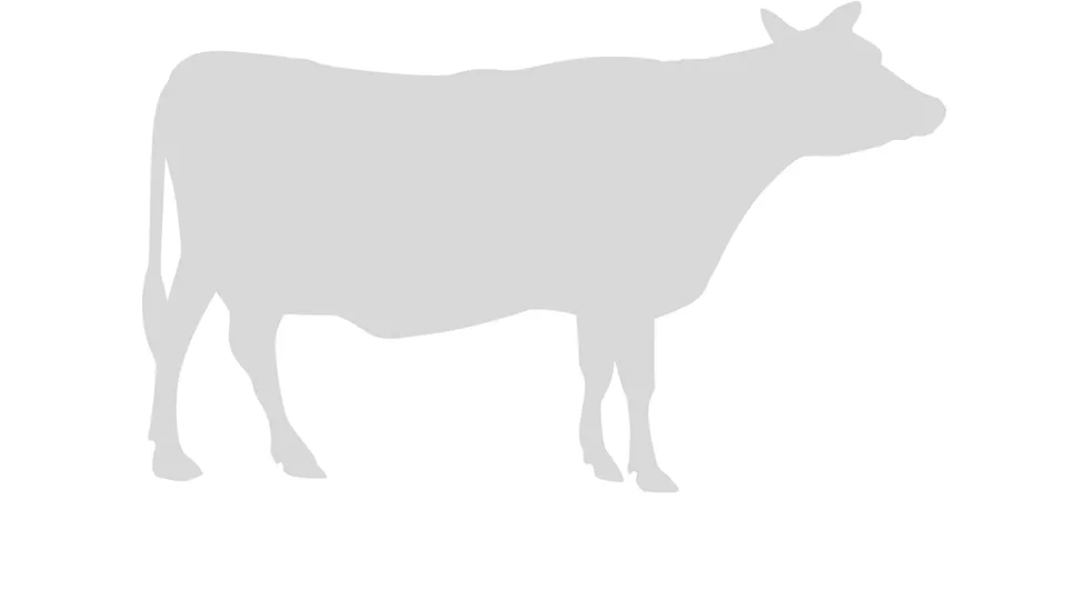 Find the Invisible Cow 미리보기 이미지