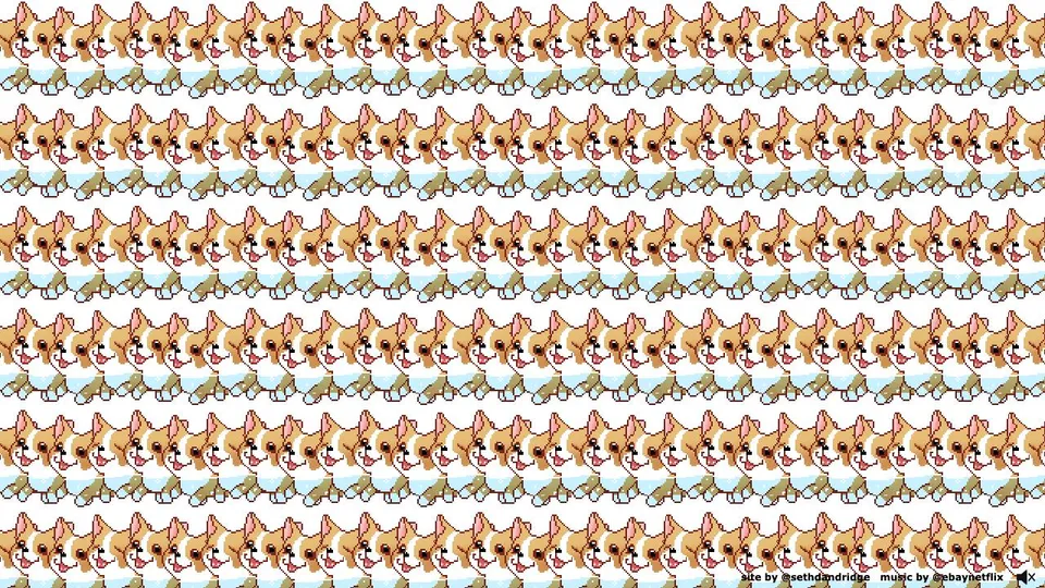 Corgi Orgy 미리보기 이미지